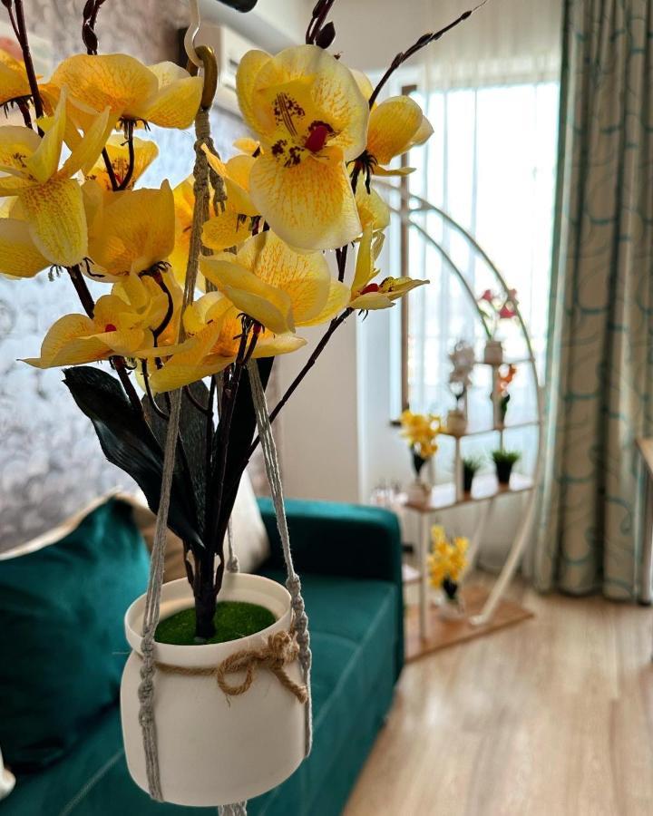 Apartament Aqua Vista Fratelli - Vedere Top La Mare Si Lac - Summerland Mamaja Zewnętrze zdjęcie
